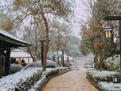 -天目湖涵田半山温泉