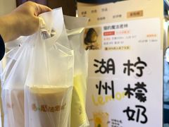 柠檬奶-猫的魔法密林(衣裳街店)
