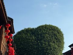 -文儒九号·闽菜馆(三坊七巷店)