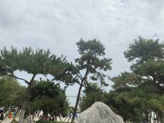-在海一方公园