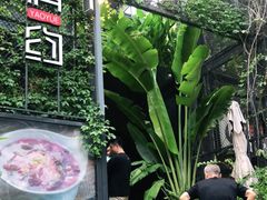 -肴约·花园式餐厅(湖里店)