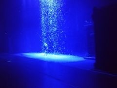 -济南方特东方神画