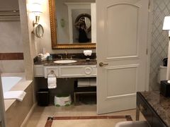 -澳门威尼斯人综合度假区