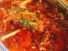 -院8里·小聚园老川菜(九眼桥店)