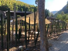 -MOJ coffee(瓯海泽雅水碓坑店)