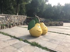 -河北省园博园