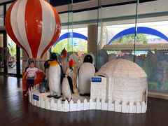 -帝企鹅自助餐厅•儿童岛•真企鹅(长隆企鹅酒店)