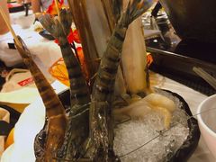 花竹虾-鲜入围煮花胶鸡海鲜火锅