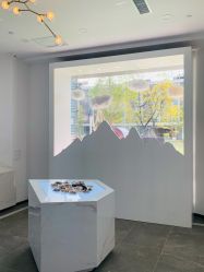 -采之汲·云南白药集团