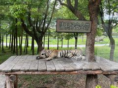 -上海野生动物园