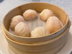 -金粤九号(李公堤店)