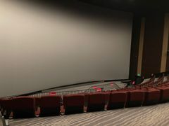 -首都电影院(天津店 中国巨幕)