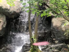 景点-天目湖山水园