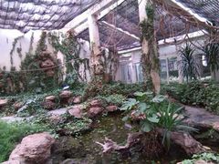 android_upload_pic-碧丽宫大酒店(召稼楼店)