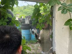 -东湖小天池真人CS彩弹野战基地