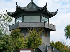 -盐城丹顶鹤湿地生态旅游区