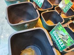 -烹湘·鲜炒湖南土菜(海珠店)