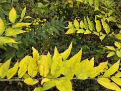 -香山公园-东宫门售票处