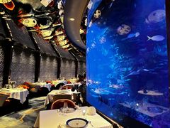 -迪拜帆船酒店海底餐厅