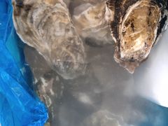 -韩家墅海吉星农产品批发市场