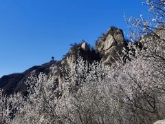 -北京凤凰岭