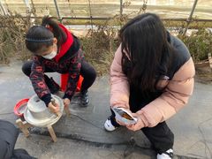 -前小桔亲子创意农场·草莓采摘·露营烧烤