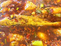 -胖大姐黄辣丁鱼庄(新津店)