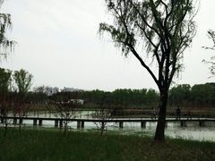 -昆山城市生态森林公园