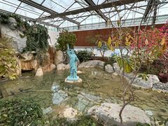 -南宫五洲植物乐园