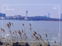 -上海滨江森林公园