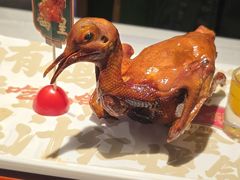 -大鸽饭(动物园店)