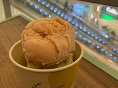 -LUNEURS月乐诗·法式冰淇淋(环贸店)