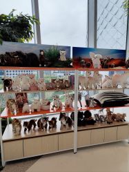 -IMON·HANSA潮玩玩偶毛绒玩具(通州万象汇店)