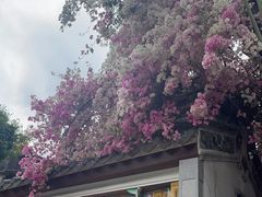 -深圳国际园林花卉博览园