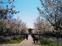 -上海海湾国家森林公园