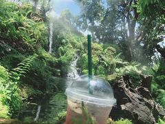 -Chom Cafe and Restaurant