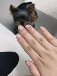 -艾薇美甲美睫