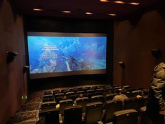 -寰耀影城(临安青山星汇天地店)