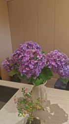-Dr.林醫生产后修复·超级店(南京江宁同曦店)