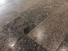 -谢列梅捷沃国际机场
