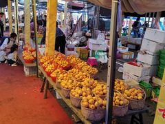 -塘栖枇杷特色园区