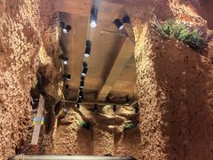 -愿者上钩·纸包鱼(翻身店)