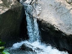 -广州白江湖森林公园