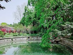 -嘉定紫藤园