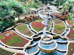 -南山植物园
