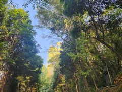 景点-老君山