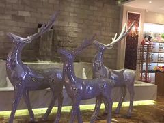 -奥斯汀KTV(金湖店)