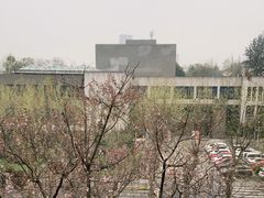 -四川大学(望江校区)