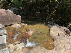 -广州白江湖森林公园