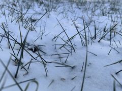 -中国人民抗日战争纪念雕塑园